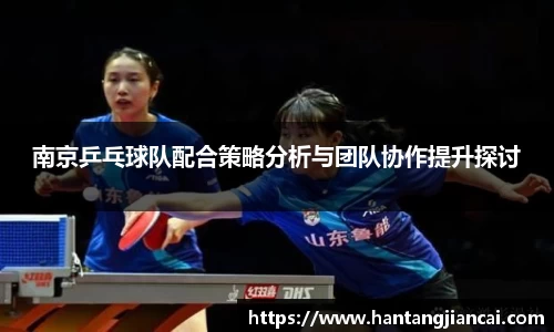 南京乒乓球队配合策略分析与团队协作提升探讨